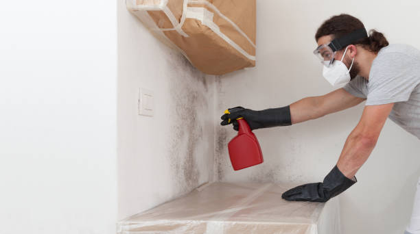Professional Mold Cleanup technician working in Highlands, TX