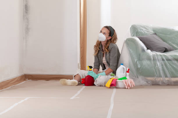 Reliable Mold Cleanup contractor in Highlands, TX by Cheap Mold Removal